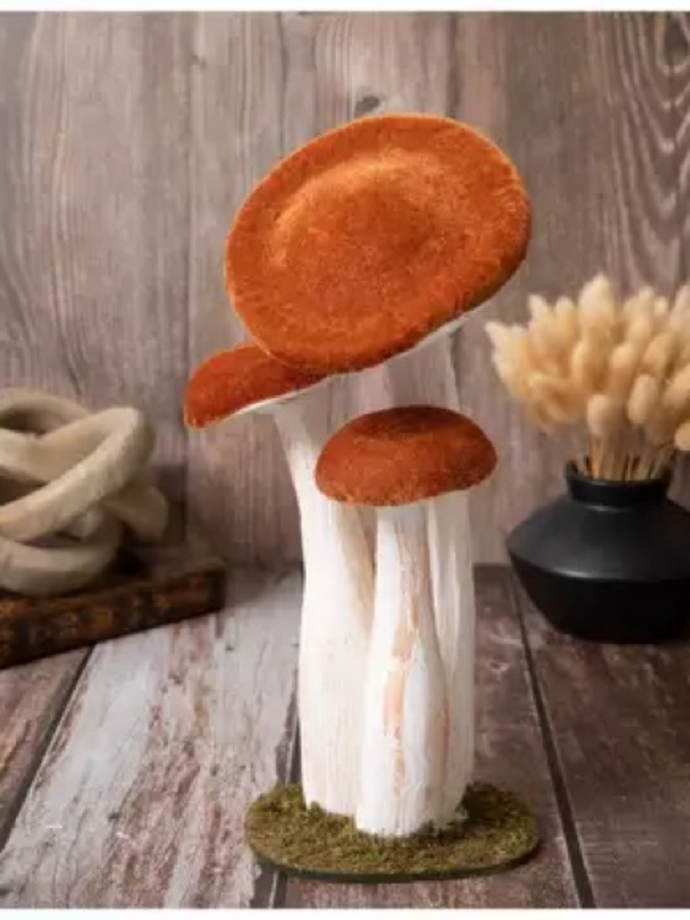 New Velvet straw mushrooms